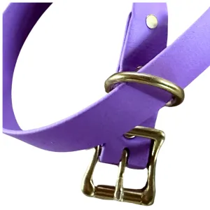 Biothane Adjustable Buckle Waterproof Dog Collar, Orchid with Solid Brass Rustproof Hardware