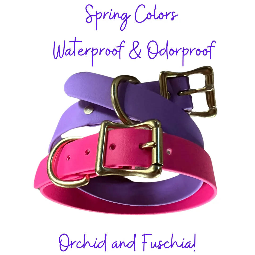 Biothane Adjustable Buckle Waterproof Dog Collar, Orchid with Solid Brass Rustproof Hardware