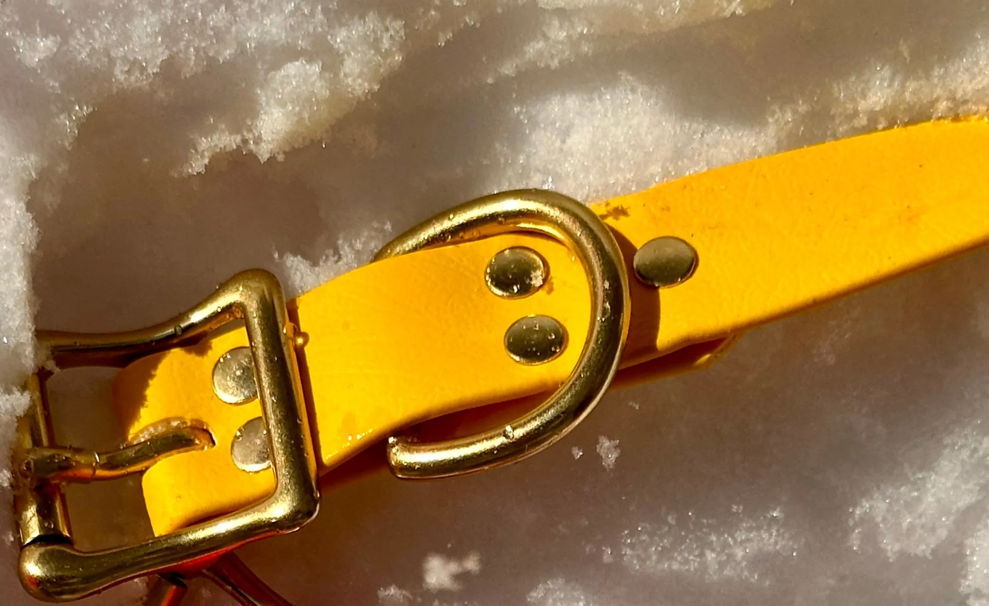 Biothane Waterproof Dog Collar, Sporty Sunshine Yellow with Solid Brass Rustproof Hardware