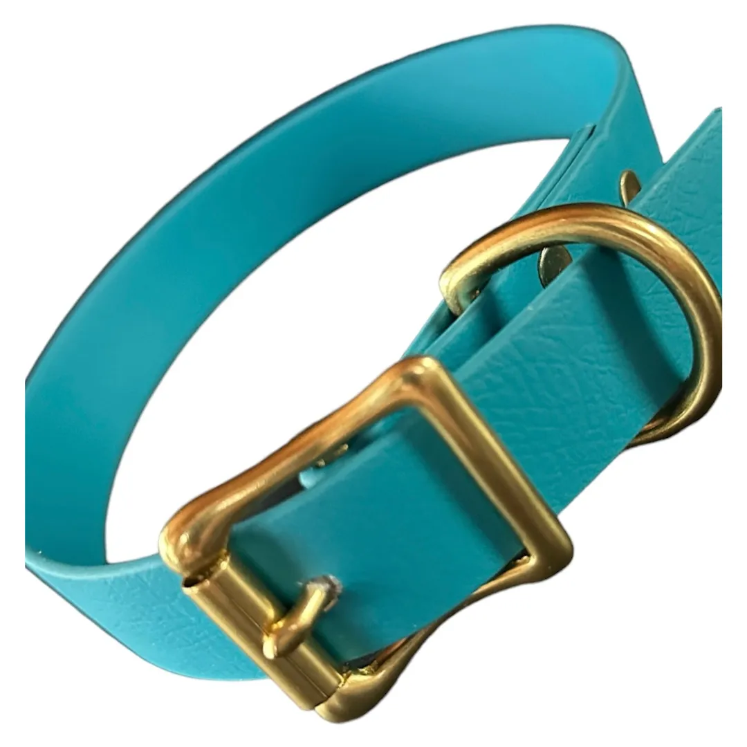 Biothane Waterproof Dog Collar, Teal Blue with Solid Brass Rustproof Hardware