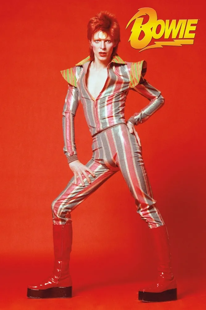 David Bowie Jumpsuit Poster