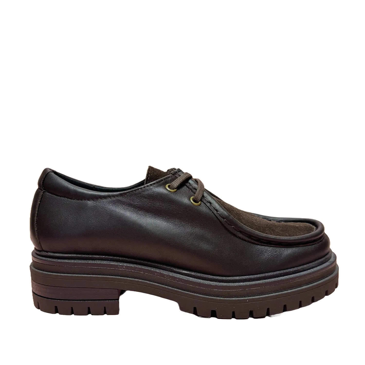 David Tyler Women's E149 Oxford in Brown