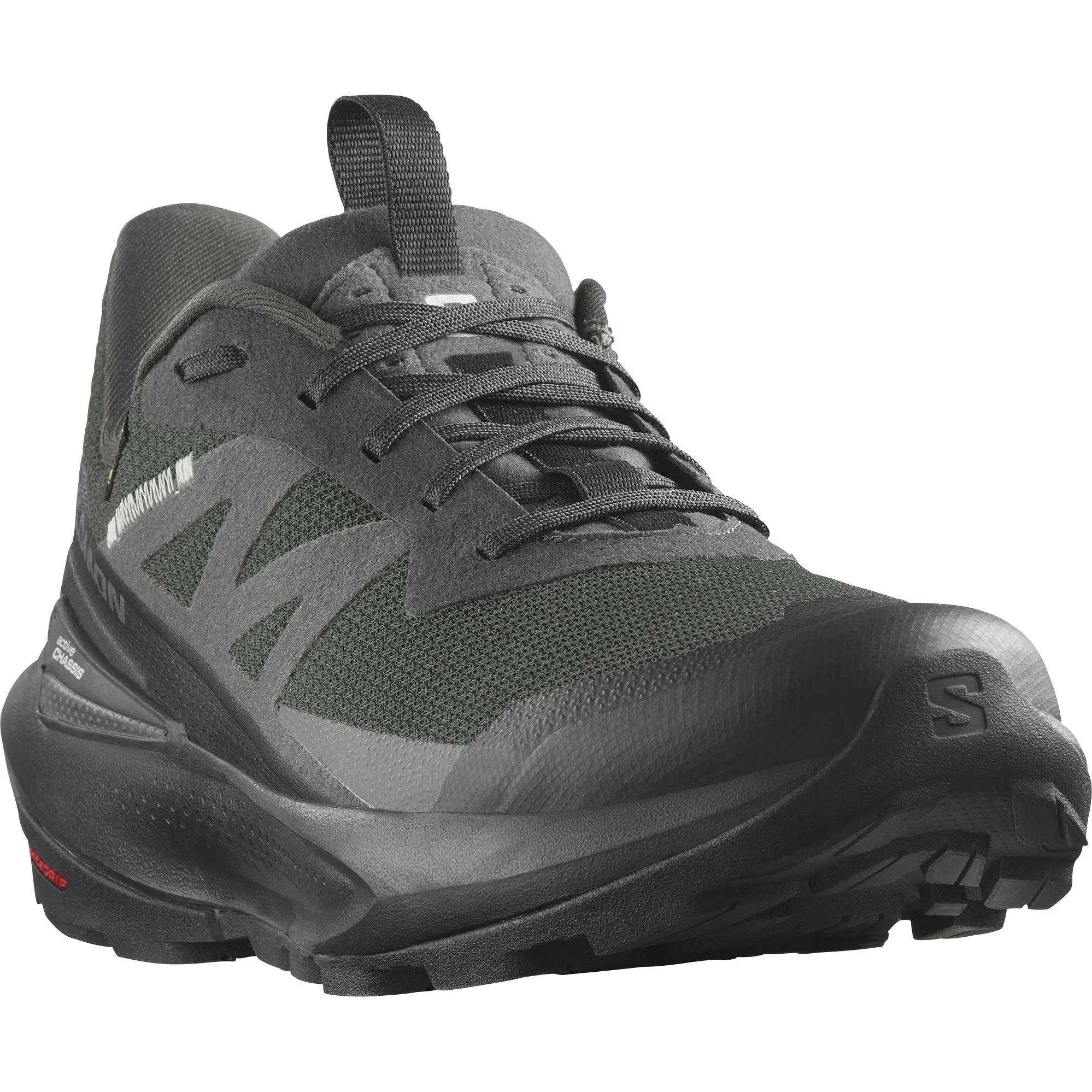 Salomon Elixir Activ GORE-TEX Mens Walking Shoes - Black